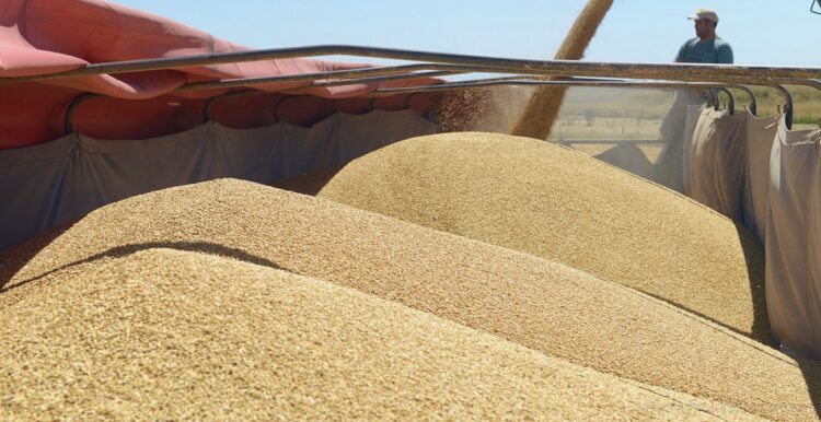 Zanja Honda: camión cerealero perdió parte de su carga de soja