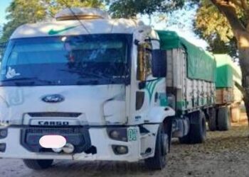 Tolerancia Cero: dos camioneros infraccionados durante el fin de semana