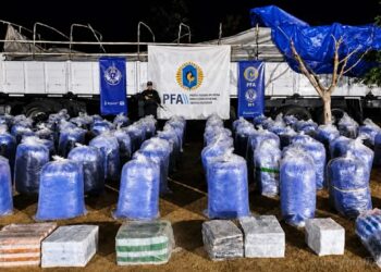 Jujuy: secuestraron más de 6 toneladas de hojas de coca