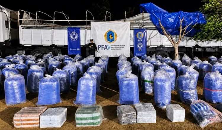 Jujuy: secuestraron más de 6 toneladas de hojas de coca