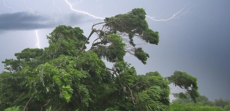 Localidades en dos departamentos sin energía a causa de la tormenta