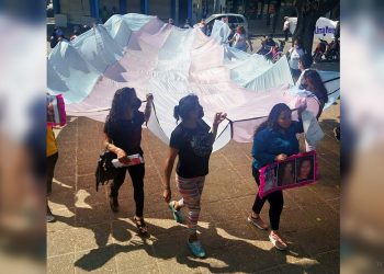 Banderazo Trans en Salta, recorrió calles céntricas en Tartagal