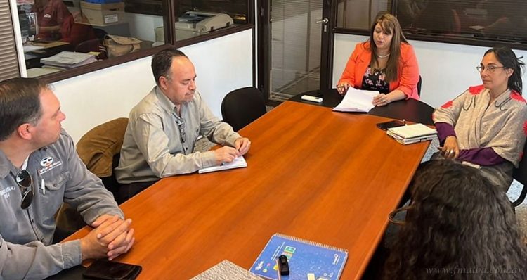 NOA: avanza la puesta en función de la Línea de Alta Tensión Argentina-Bolivia