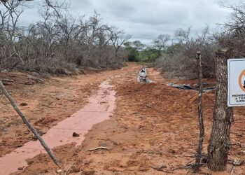 Derrames en pozo petrolero: dan lugar a medidas cautelares pedidas por la Fiscal de Pichanal