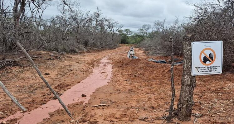 Derrames en pozo petrolero: dan lugar a medidas cautelares pedidas por la Fiscal de Pichanal