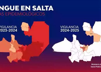 Plan Estratégico de Abordaje Integral: Salta refuerza las estrategias contra dengue y oropuche