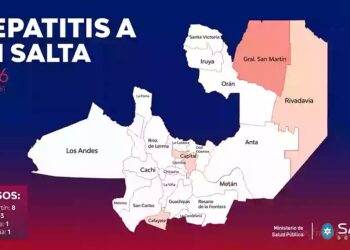 Hepatitis A: Salta acumula 13 casos, con epicentro en el departamento San Martín