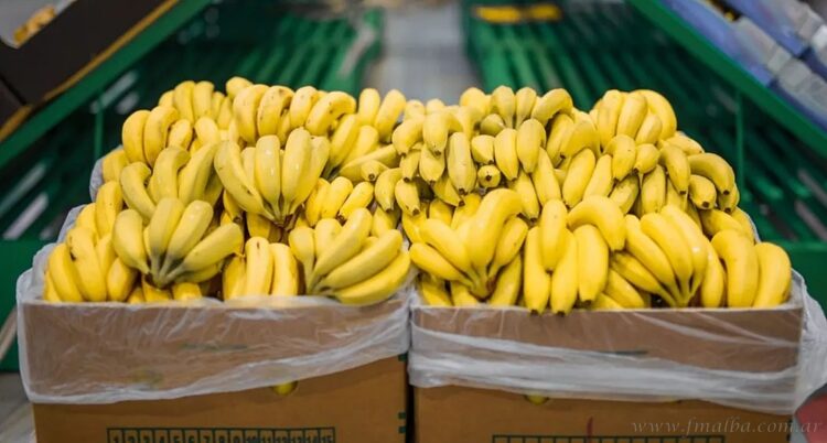 Producción Bananera: Salta pidió a Nación reunión para analizar la Normativa 114