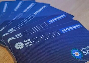 Tarjeta Estudiantil Provincial 2026: abren renovaciones para universitarios desde el 12 de enero