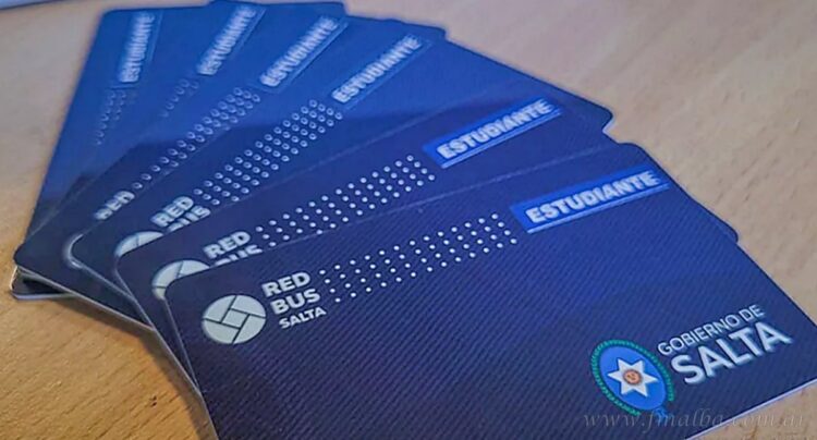 Tarjeta Estudiantil Provincial 2026: abren renovaciones para universitarios desde el 12 de enero