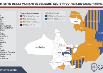 Salta: confirman cuatro nuevos casos de variantes de coronavirus en la provincia