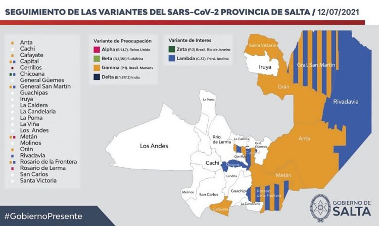 Salta: confirman cuatro nuevos casos de variantes de coronavirus en la provincia