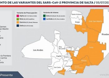Coronavirus: variante Manaos, confirmada en departamento San Martín