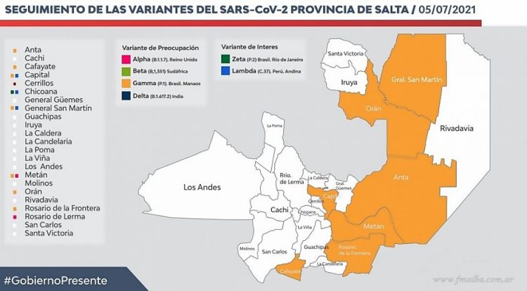 Coronavirus: variante Manaos, confirmada en departamento San Martín