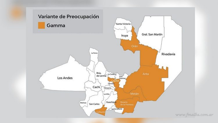Coronavirus: provincia confirma circulación comunitaria de la variante Manaos