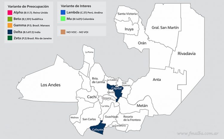 Coronavirus: registran 25 nuevos casos de la variante Delta en Salta