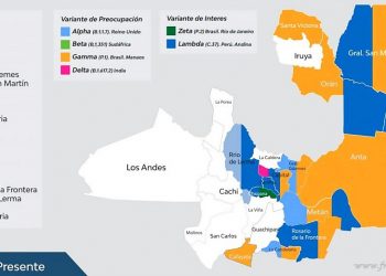 San Martín: se confirmaron más casos de Covid-19 cepa Andina y Manaos