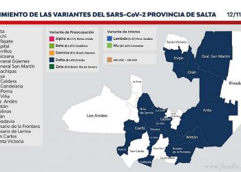 Coronavirus: se confirmaron 13 nuevos positivos a cepa Delta para San Martín