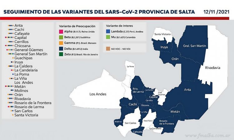 Coronavirus: se confirmaron 13 nuevos positivos a cepa Delta para San Martín