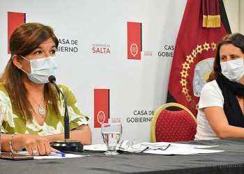 Salud: brote de gripe estacional no pandémica