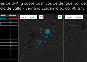 Dengue: Tartagal duplicó casos positivos en una semana