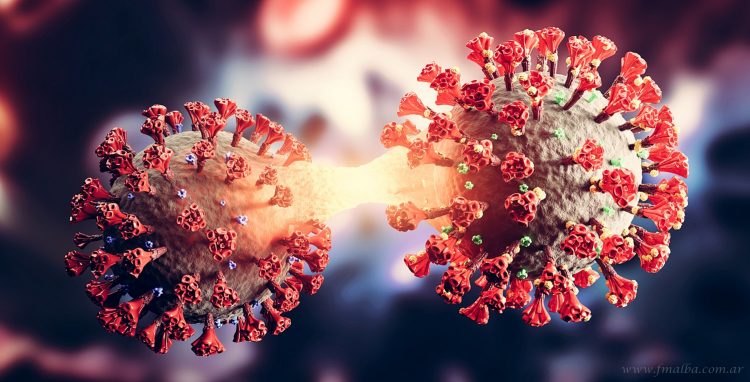 Coronavirus: sin casos positivos en la semana 44 en Salta