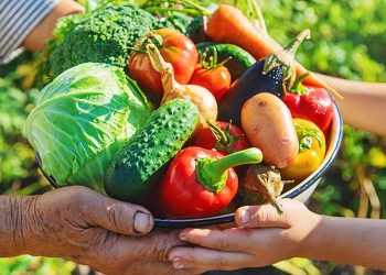 Día Mundial de la Alimentación: instituciones se unen en una Jornada Saludable