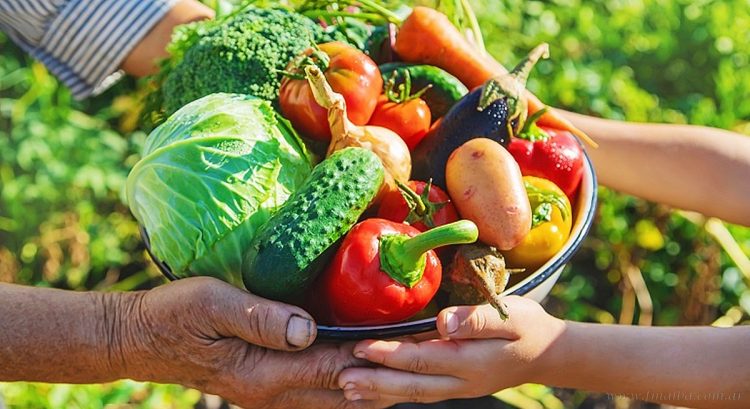 Día Mundial de la Alimentación: instituciones se unen en una Jornada Saludable