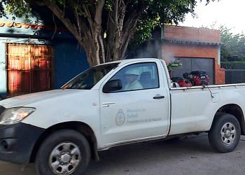Dengue: Tartagal ya roza los 80 casos