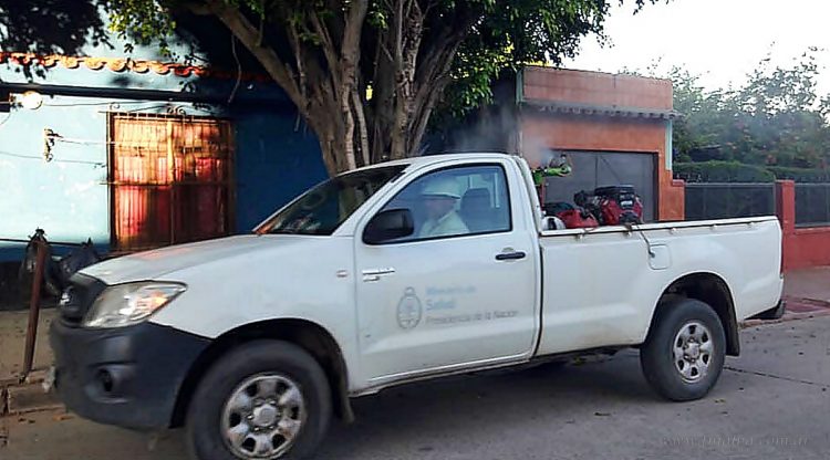 Dengue: Tartagal ya roza los 80 casos