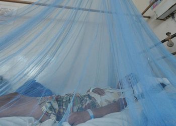 Yacuiba: comisión del Ministerio de Salud se instala para lucha contra el dengue