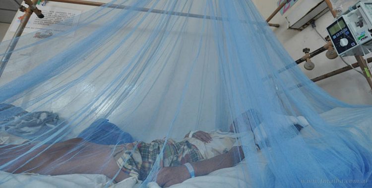 Yacuiba: comisión del Ministerio de Salud se instala para lucha contra el dengue