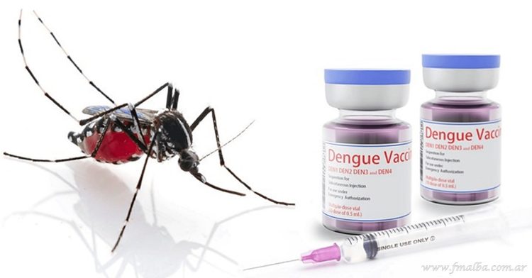 Vacunación contra el dengue comenzará en los departamentos del norte