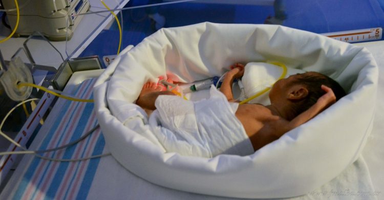 Semana del Prematuro 2023: “La familia en la unidad neonatal”