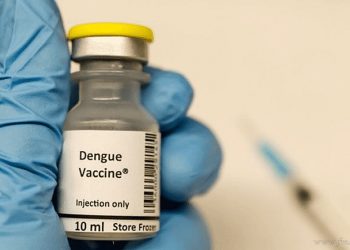 País: ANMAT aprueba la vacuna contra el dengue