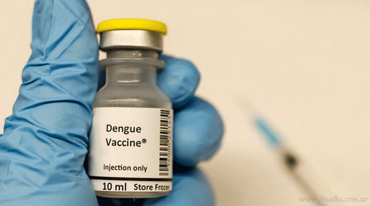 País: ANMAT aprueba la vacuna contra el dengue