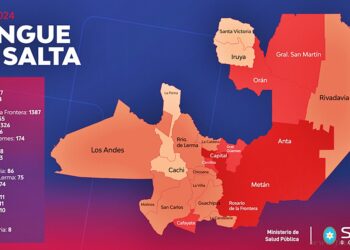 Dengue: la provincia supera el total de afectados en comparación a 2023