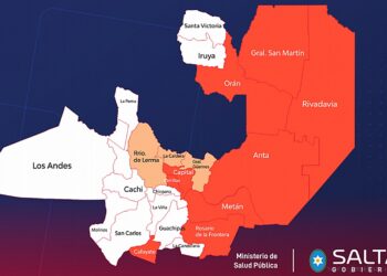 Salud pública: la provincia supera los 1.000 casos de dengue