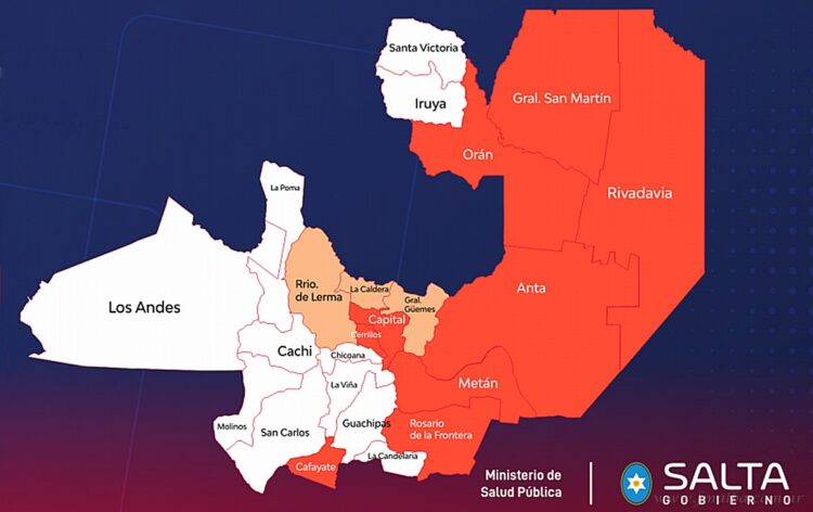 Salud pública: la provincia supera los 1.000 casos de dengue