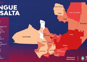 Dengue: la provincia de Salta se acerca a los 10.000 casos
