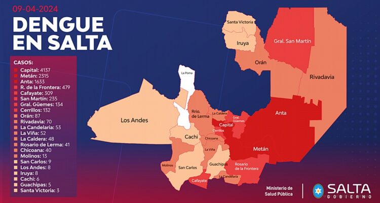 Dengue: la provincia de Salta se acerca a los 10.000 casos