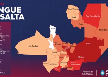 Salta: 12 personas fallecidas a causa del dengue, confirmaron funcionarios de salud