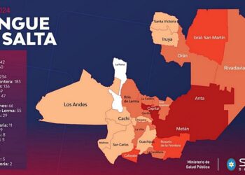 Tartagal: los casos de chikungunya ya llegan a 40