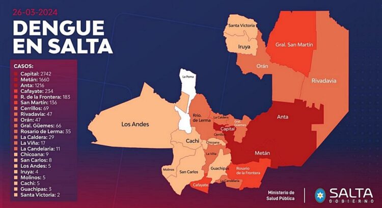 Tartagal: los casos de chikungunya ya llegan a 40