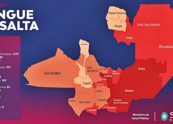 Dengue: la provincia ya supera los 18 mil casos positivos