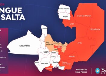 Salud pública: declaran brote de dengue en Tartagal