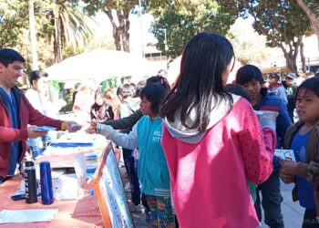 Día Mundial de Lucha contra el Dengue: jornada interinstitucional en Plaza San Martín