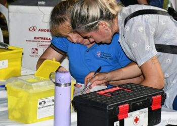 Fiebre Amarilla: vacunación gratuita sólo en cuatro departamentos salteños