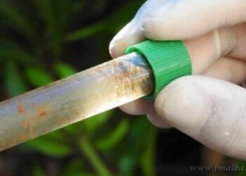 “Operativo Verano 2025”: Operativo “Lira” en Tartagal, este 19 y 20 de enero