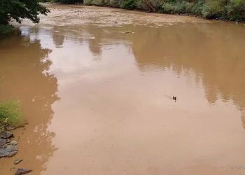 Sigue afectado el servicio de agua en General Mosconi y parajes